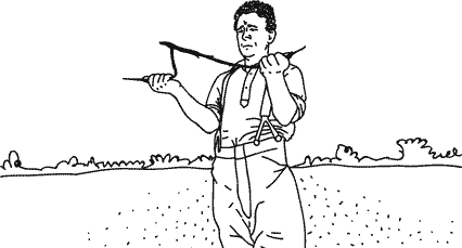 Иллюстрация к книге — Анатомия заблуждений. Большая книга по критическому мышлению [i_285.jpg]