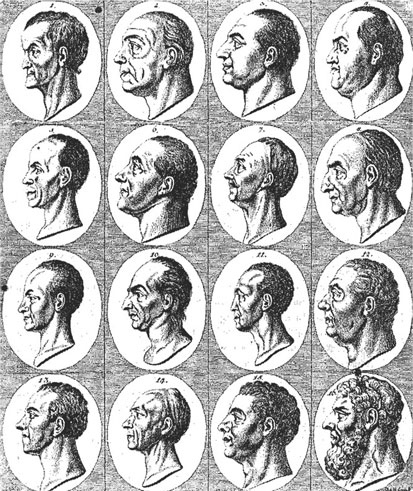 Иллюстрация к книге — Анатомия заблуждений. Большая книга по критическому мышлению [i_301.jpg]