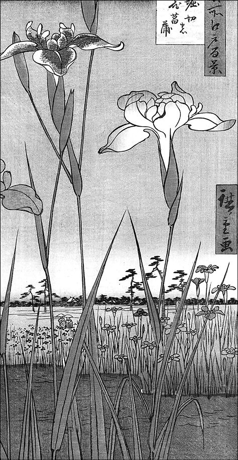 Иллюстрация к книге — Только роза [i_008.jpg]