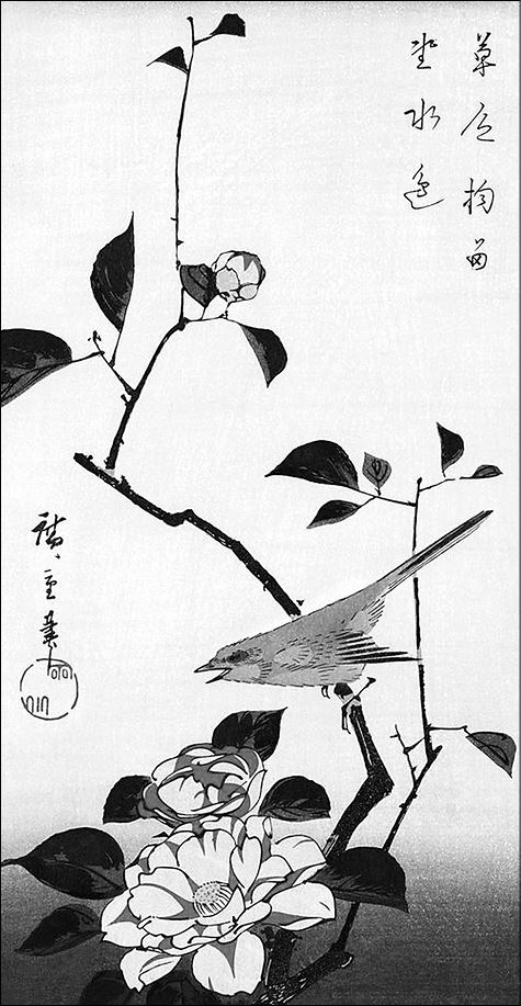 Иллюстрация к книге — Только роза [i_014.jpg]