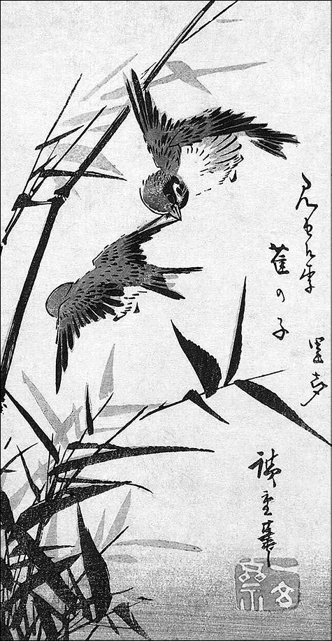 Иллюстрация к книге — Только роза [i_016.jpg]