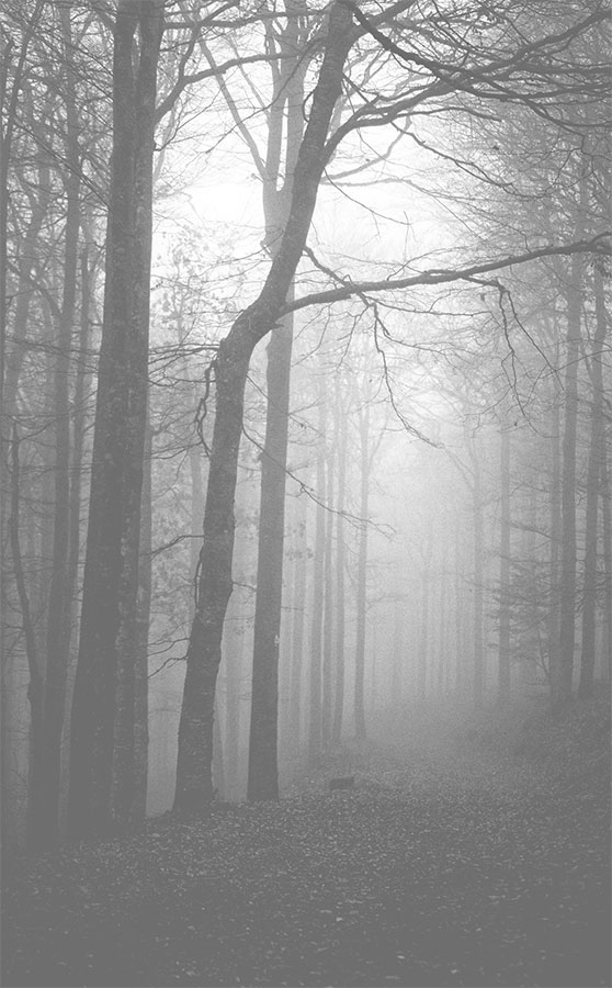 Иллюстрация к книге — Тайна дома Гленнон-Хайтс [i_002.jpg]