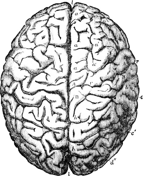 Иллюстрация к книге — Искусство мыслить рационально. Шорткаты в математике и в жизни [i_056.jpg]
