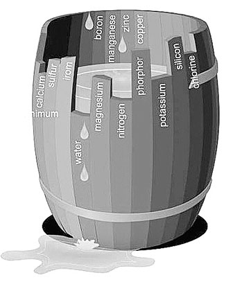 Иллюстрация к книге — Проведи тело с пользой. Занимательная биохимия вашего организма [i_004.jpg]