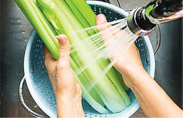 Иллюстрация к книге — Сок сельдерея. Природный эликсир энергии и здоровья [i_003.jpg]