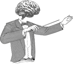 Иллюстрация к книге — Дирижер организма. Как мозг управляет вашим весом и помогает похудеть [i_001.jpg]