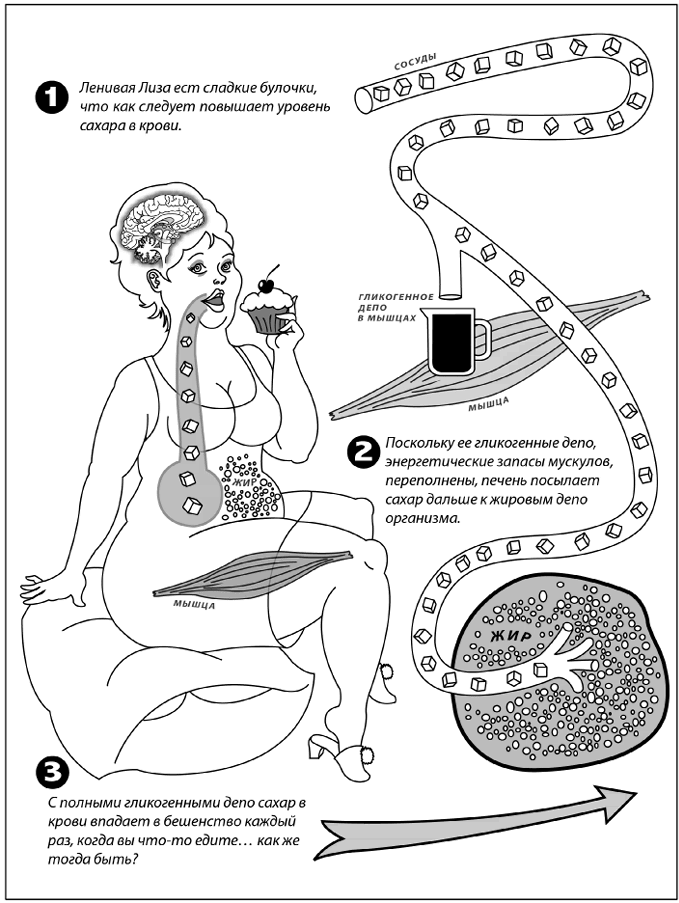 Иллюстрация к книге — Дирижер организма. Как мозг управляет вашим весом и помогает похудеть [i_021.jpg]