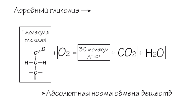 Иллюстрация к книге — Как химичит наш организм: принципы правильного питания [i_016.jpg]