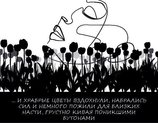 Иллюстрация к книге — Нидерланды. Страна мельниц, тюльпанов и сыра [i_003.jpg]