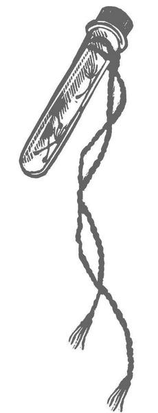 Иллюстрация к книге — Странные вещи [i_009.jpg]