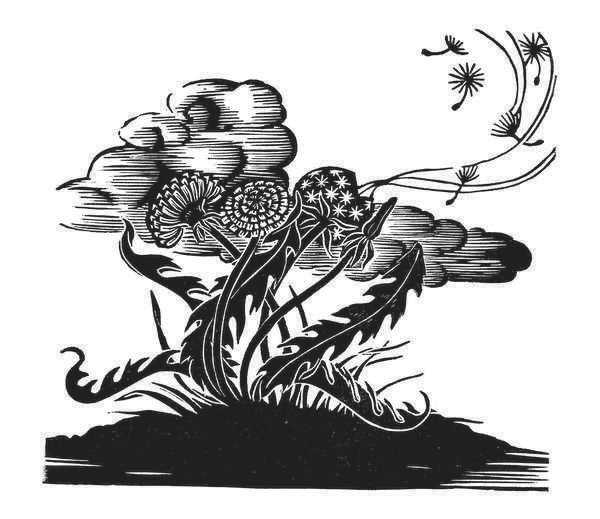 Иллюстрация к книге — Странные вещи [i_028.jpg]