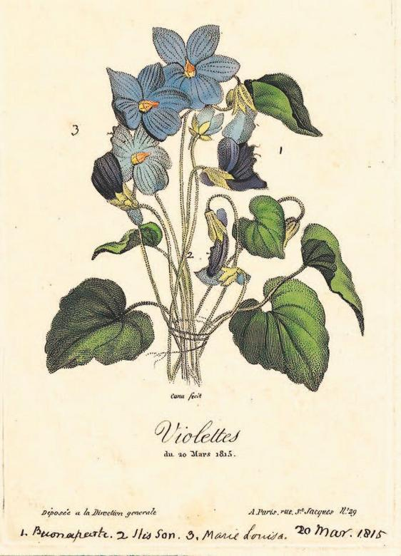 Иллюстрация к книге — Ватерлоо. История битвы, определившей судьбу Европы [i_037.jpg]