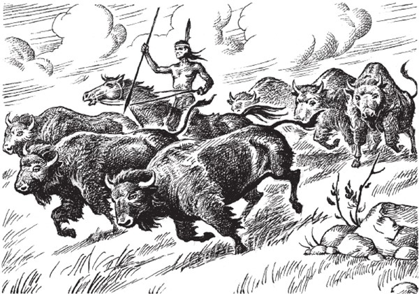 Иллюстрация к книге — Харка, сын вождя [i_019.jpg]