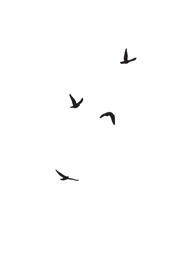 Иллюстрация к книге — Лето 1969 [i_001.jpg]