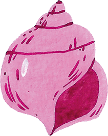 Иллюстрация к книге — Самая страшная кругосветка [i_022.jpg]