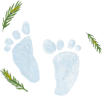 Иллюстрация к книге — Самая страшная кругосветка [i_055.jpg]