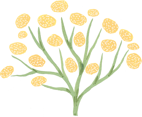 Иллюстрация к книге — Самая страшная кругосветка [i_070.jpg]