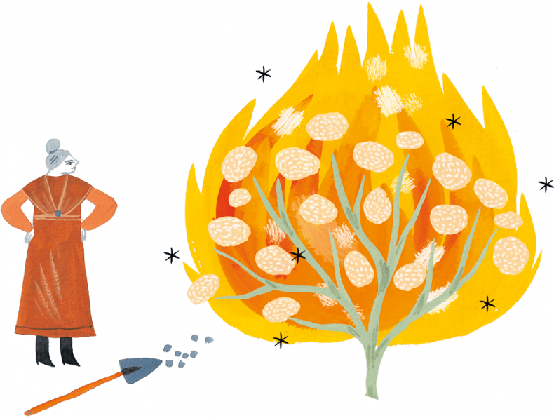 Иллюстрация к книге — Самая страшная кругосветка [i_073.jpg]