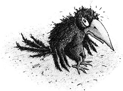 Иллюстрация к книге — Пунш желаний [i_015.jpg]