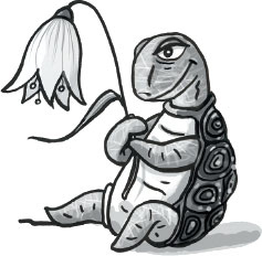 Иллюстрация к книге — «Школа волшебства» и другие истории [i_017.jpg]