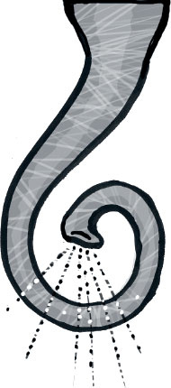 Иллюстрация к книге — «Школа волшебства» и другие истории [i_064.jpg]