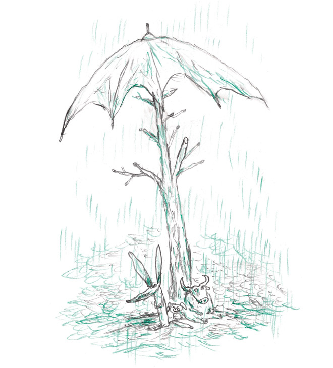 Иллюстрация к книге — Акулиска Враг Редиски и другие истории о Лисе и Поросёнке [i_013.jpg]