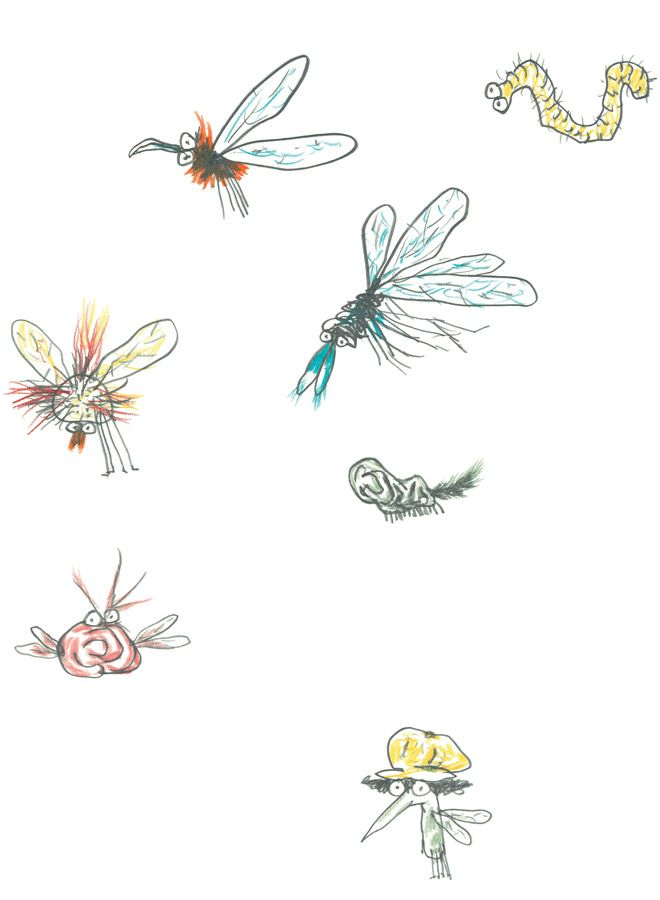 Иллюстрация к книге — Битва с комарами [i_001.jpg]