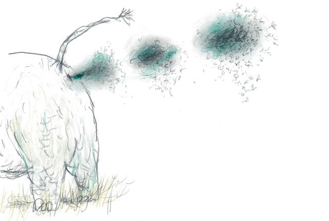 Иллюстрация к книге — Битва с комарами [i_009.jpg]