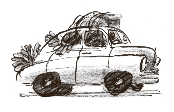 Иллюстрация к книге — Рецепты еврейской мамы [i_008.jpg]