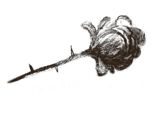 Иллюстрация к книге — Рецепты еврейской мамы [i_015.jpg]