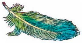 Иллюстрация к книге — Фрау Волле и аромат шоколада [i_020.jpg]