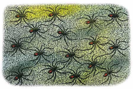 Иллюстрация к книге — Фрау Волле и аромат шоколада [i_046.jpg]