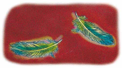 Иллюстрация к книге — Фрау Волле и аромат шоколада [i_055.jpg]