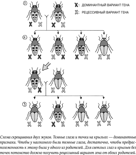 Иллюстрация к книге — Неестественный отбор. Генная инженерия и человек будущего [i_005.jpg]