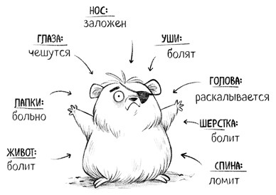 Иллюстрация к книге — Уши вверх! [i_057.jpg]