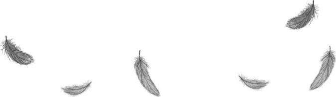 Иллюстрация к книге — Чудовище и Бетани [i_004.jpg]