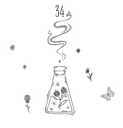 Иллюстрация к книге — Секрет «Тенистых Песков» [i_037.jpg]