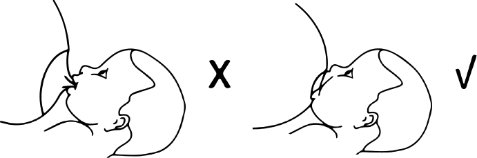 Иллюстрация к книге — Новорожденная мама. 7 шагов к спокойному материнству [img_17.jpg]