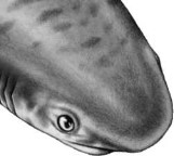 Иллюстрация к книге — Опасные волны [i_005.jpg]