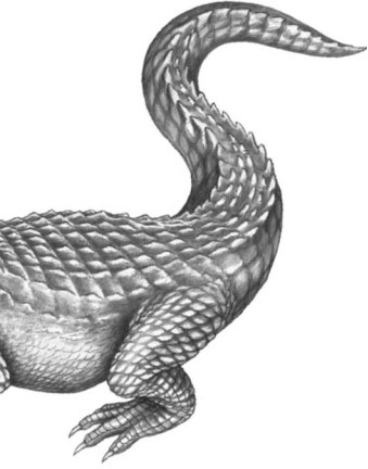 Иллюстрация к книге — Опасные волны [i_008.jpg]