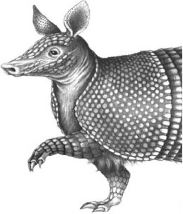 Иллюстрация к книге — Опасные волны [i_010.jpg]