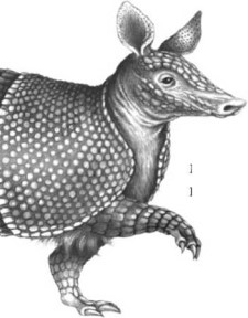 Иллюстрация к книге — Опасные волны [i_022.jpg]