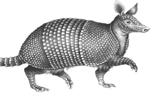 Иллюстрация к книге — Опасные волны [i_035.jpg]