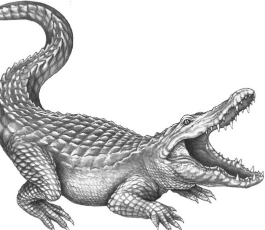 Иллюстрация к книге — Опасные волны [i_042.jpg]