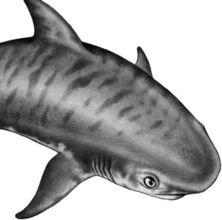 Иллюстрация к книге — Опасные волны [i_047.jpg]