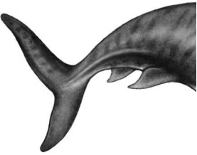 Иллюстрация к книге — Опасные волны [i_049.jpg]