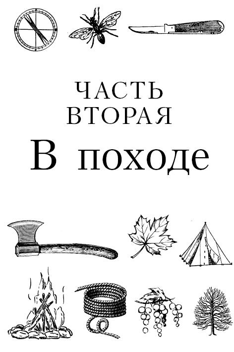 Иллюстрация к книге — Бушкрафт 101. Современное руководство по искусству выживания в дикой природе [i_047.jpg]