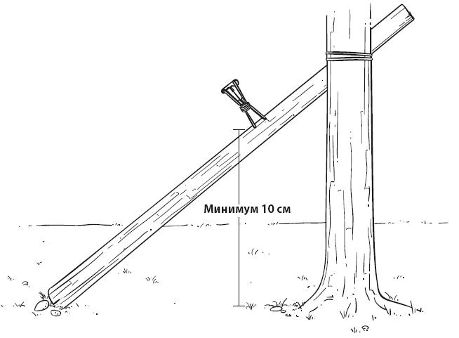 Иллюстрация к книге — Бушкрафт 101. Современное руководство по искусству выживания в дикой природе [i_070.jpg]