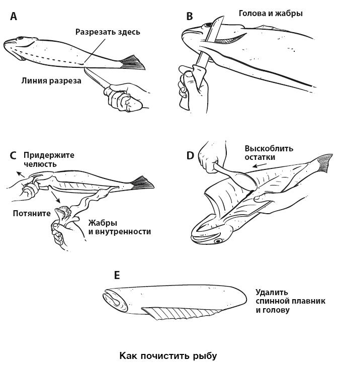 Иллюстрация к книге — Бушкрафт 101. Современное руководство по искусству выживания в дикой природе [i_071.jpg]