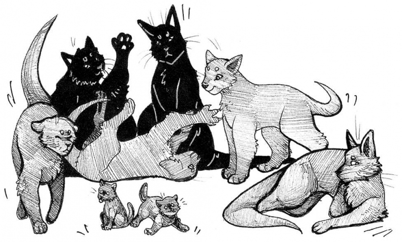 Иллюстрация к книге — Яжмаг. Клуб отверженных магов [i_010.jpg]